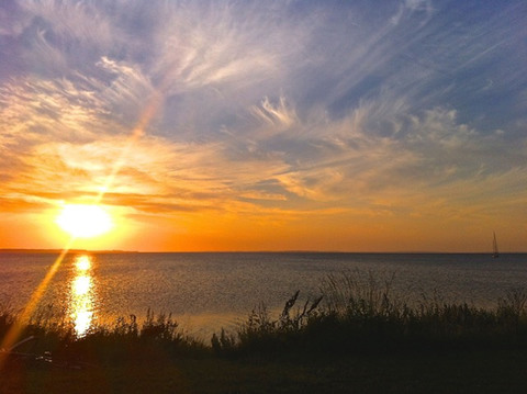 Galerie-Bild von Bärbel Jahnke