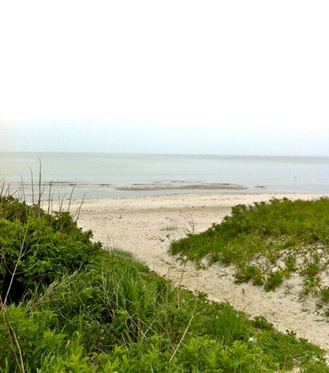 Galerie-Bild von Bärbel Jahnke