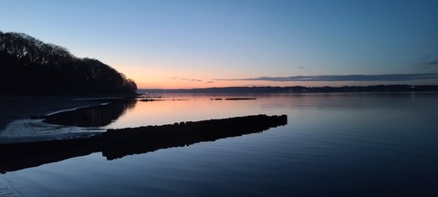 Galerie-Bild von Victoria Fildebrandt