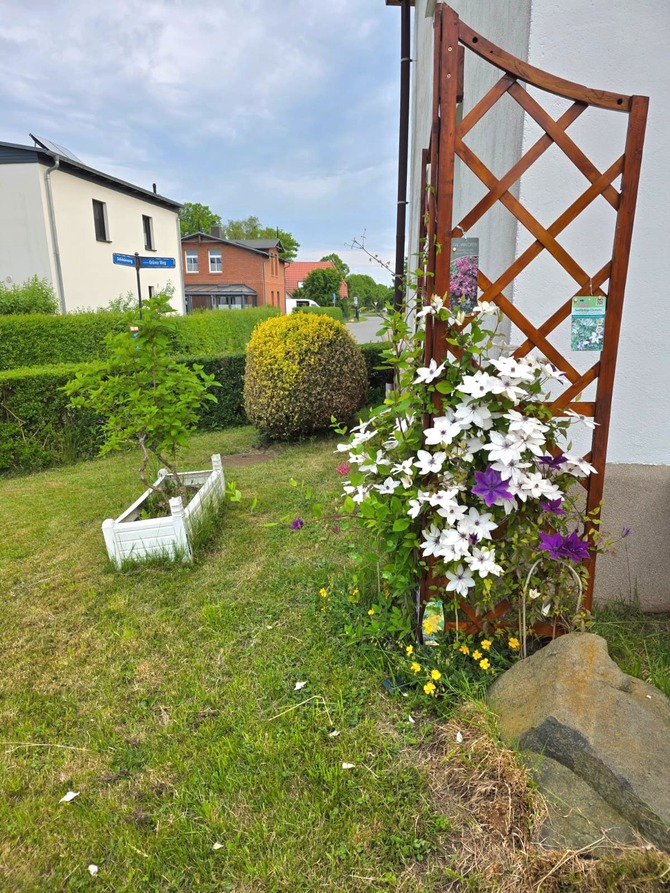 Ferienhaus in K&uuml;hlungsborn - H&ouml;ppner, Joachim - Bild 9