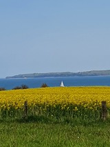 Ferienwohnung in Langholz - Seeblick - Bild 16 Ferienwohnung in Langholz - Seeblick - Bild 16