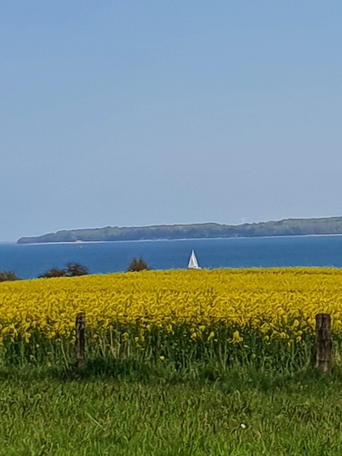 Ferienwohnung in Langholz - Seeblick - Bild 16 Ferienwohnung in Langholz - Seeblick - Bild 16