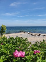 Ferienwohnung in Langholz - Seeblick - Bild 17 Ferienwohnung in Langholz - Seeblick - Bild 17