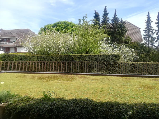 Ferienwohnung in Gr&ouml;mitz - Deichkrone - Blick von der Terrasse