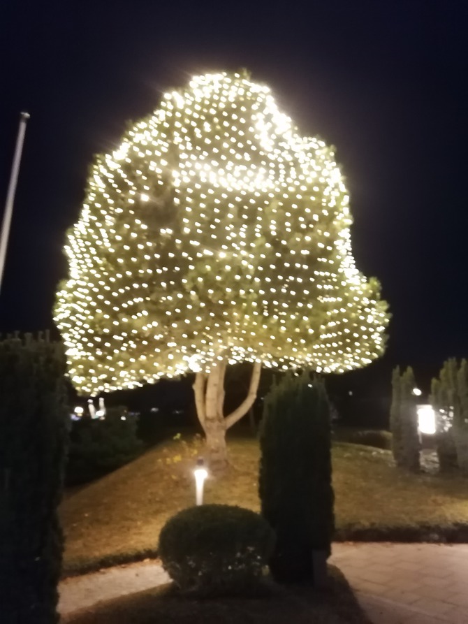 Ferienwohnung in Gr&ouml;mitz - Deichkrone - Bild 25