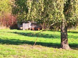 Ferienhaus in Carinerland - Grünes Haus - Wiese mit Schafen