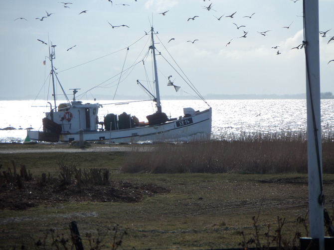 Bungalow in Fehmarn OT Burgtiefe - Strandhaus Meerblick - Bild 7