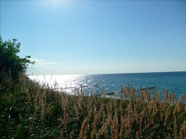 Ferienwohnung in Graal-M&uuml;ritz - Wellenkieker - Bild 21