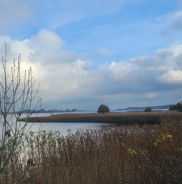Ferienwohnung in Schleswig - Ferienwohnung Strandkorb - Bild 21
