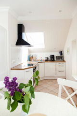 Ferienwohnung in Fehmarn OT Westermarkelsdorf - Sturmmöwe - Bild 9