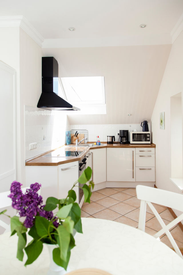 Ferienwohnung in Fehmarn OT Westermarkelsdorf - Sturmmöwe - Bild 9