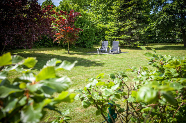 Ferienwohnung in Fehmarn OT Westermarkelsdorf - Sturmmöwe - Bild 11