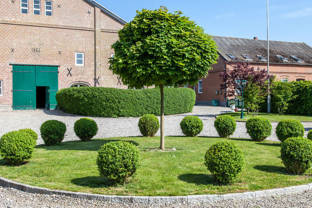 Ferienwohnung in Fehmarn OT Westermarkelsdorf - Sturmmöwe - Bild 12