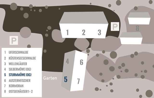 Ferienwohnung in Fehmarn OT Westermarkelsdorf - Sturmmöwe - Bild 13