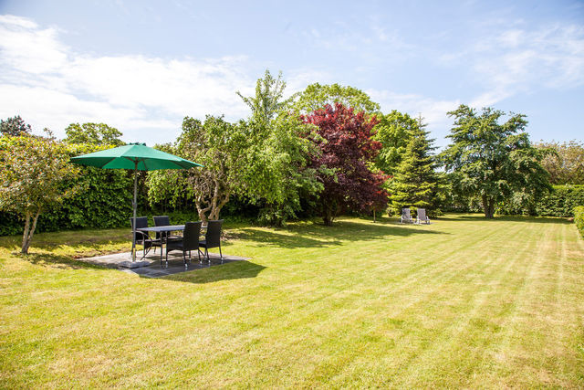 Ferienwohnung in Fehmarn OT Westermarkelsdorf - Sturmmöwe - Bild 15