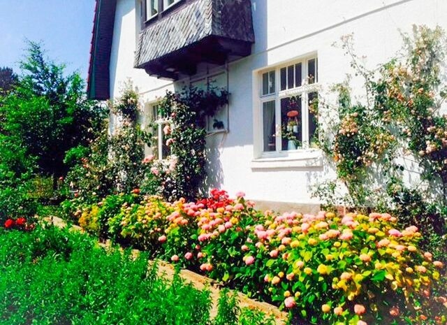 Ferienwohnung in Klingberg - romantische Ferienwohnung Sachsenhof 2 - Bild 20