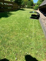 Ferienhaus in Bünsdorf - Ferienhaus Busch - Bild 14 Ferienhaus in Bünsdorf - Ferienhaus Busch - Bild 14