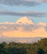 Ferienwohnung in Ascheffel - Wilsterberg FeWo "die Kleine" - Bild 16 Ferienwohnung in Ascheffel - Wilsterberg FeWo "die Kleine" - Bild 16