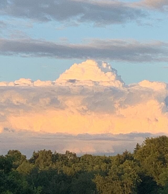 Ferienwohnung in Ascheffel - Wilsterberg FeWo "die Kleine" - Bild 16 Ferienwohnung in Ascheffel - Wilsterberg FeWo "die Kleine" - Bild 16