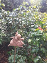 Ferienwohnung in Groß Wittensee - Martens - Bild 7 Ferienwohnung in Groß Wittensee - Martens - Bild 7