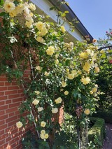 Ferienwohnung in Groß Wittensee - Martens - Bild 8 Ferienwohnung in Groß Wittensee - Martens - Bild 8