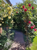 Ferienwohnung in Groß Wittensee - Martens - Bild 9 Ferienwohnung in Groß Wittensee - Martens - Bild 9