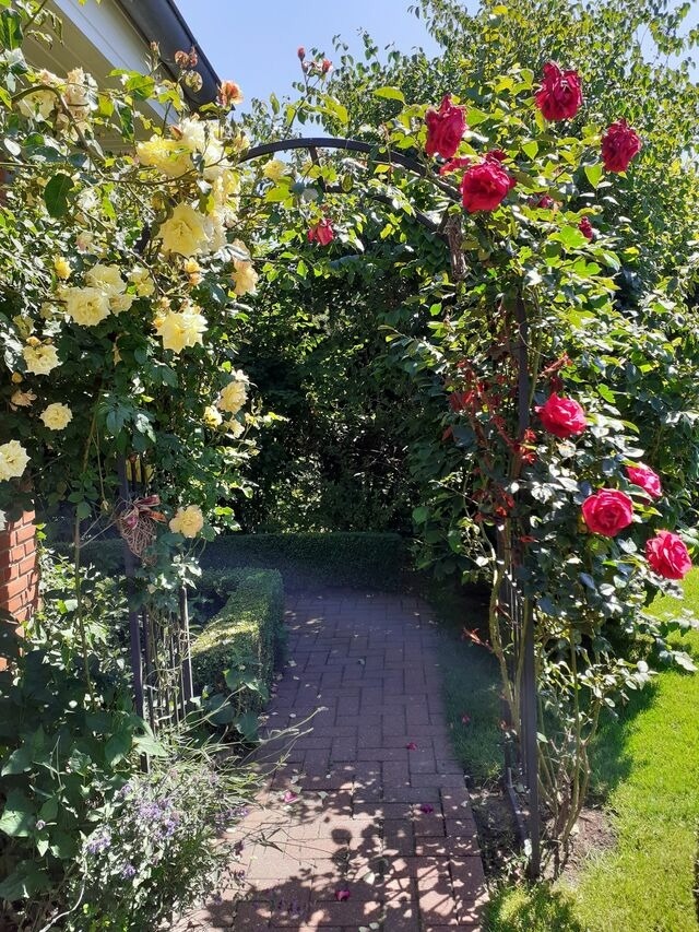 Ferienwohnung in Groß Wittensee - Martens - Bild 9 Ferienwohnung in Groß Wittensee - Martens - Bild 9