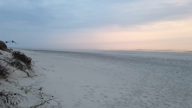 Ferienwohnung in Groß Wittensee - Martens - Bild 23 Ferienwohnung in Groß Wittensee - Martens - Bild 23