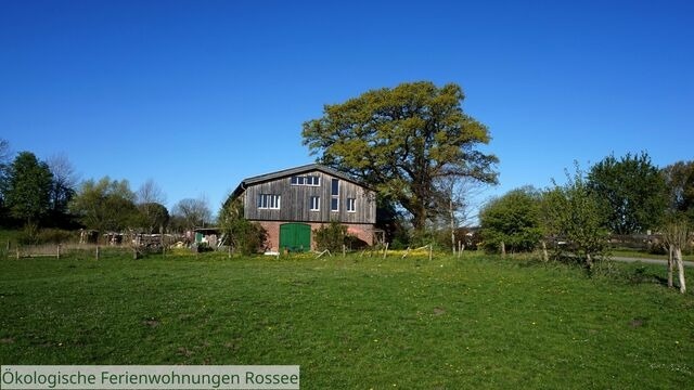 Ferienwohnung in Barkelsby - &ouml;kologische Ferienwohnung Rossee /Wohnung Ost - Bild 16
