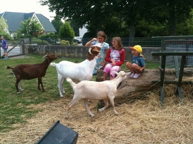 Ferienwohnung in Fehmarn OT Bannesdorf - "Ferienhof Alte M&uuml;hle" W 3 - Bild 14