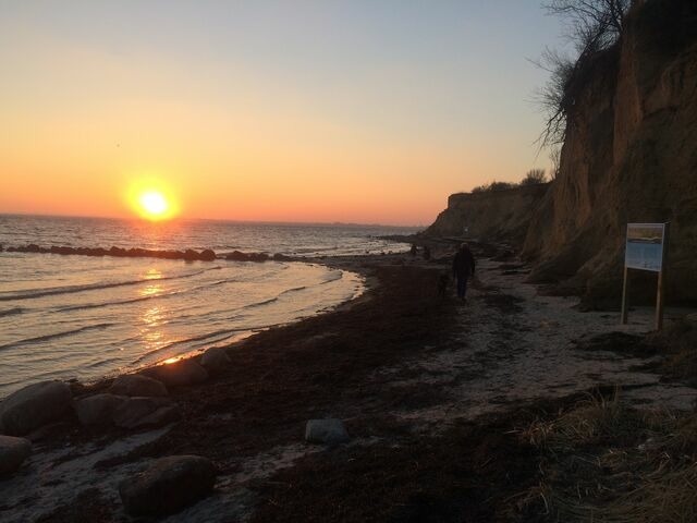 Ferienwohnung in Fehmarn OT Neue Tiefe - Ferienhaus an der Buche "Gartenblick" - Bild 16