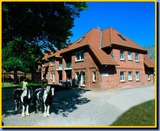 Ferienwohnung in Fehmarn OT Presen - "Ferienhof Rie&szlig;en" Utspan Nr. 66 - Bild 1