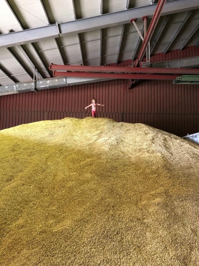 Ferienwohnung in Fehmarn OT Hinrichsdorf - Mohnblume Nr.2 - Bild 20