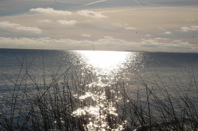 Ferienwohnung in Fehmarn OT Petersdorf - Ferienwohnung Harl&auml;nder - Bild 17