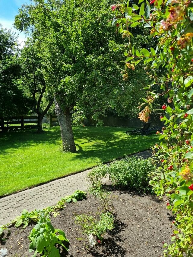 Ferienhaus in Fehmarn OT Bisdorf - Ferienhof Bisdorf "Schw&uuml;lkennest" Reihenhaus - Bild 2