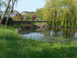 Ferienhof Bisdorf "Steilk&uuml;ste"