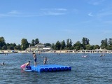 Ferienwohnung in Ueckermünde - Lagunenstadt am Haff Fewo 246 - Seeigel - Bild 17