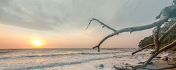 Meeresrauschen - direkt am Meer