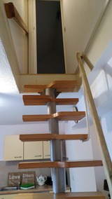 Ferienwohnung in Fehmarn OT Burg - Ferienwohnung Rieke/ Urlaub mit Hund - Bild 11