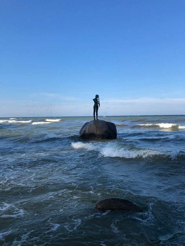 Ferienwohnung in Sellin - Ferienhaus zum S&uuml;dstrand App. 3 - Bild 19