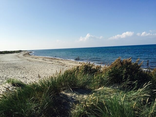 Ferienwohnung in K&uuml;hlungsborn - S&uuml;nn Tied - Bild 23