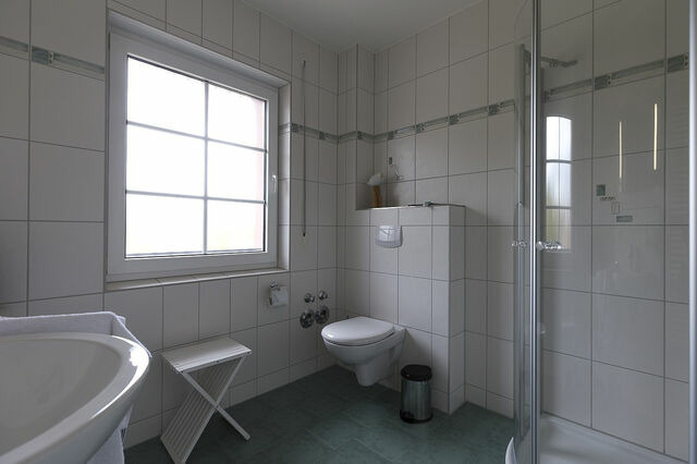 Ferienwohnung in Ostseeheilbad Zingst - An der Alten Rotbuche, Whg. 3 - Bild 11