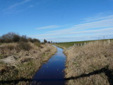 Ferienwohnung in Fehmarn OT Todendorf - Haus am Teich - Teichblick - Bild 25