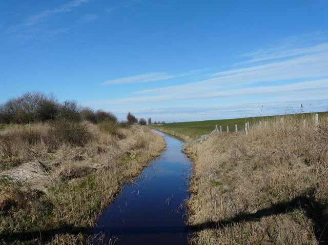 Ferienwohnung in Fehmarn OT Todendorf - Haus am Teich - Teichblick - Bild 25
