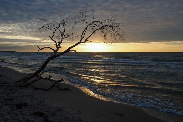 Ferienwohnung in Ostseeheilbad Zingst - Haus Claudia - Bild 19