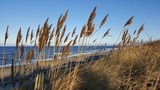 Ferienwohnung in B&ouml;rgerende - Baltic Dreams - Residenz am Meer 08 - Bild 19