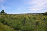 Ferienwohnung in Hohwacht - Seeschwalbe - Bild 24