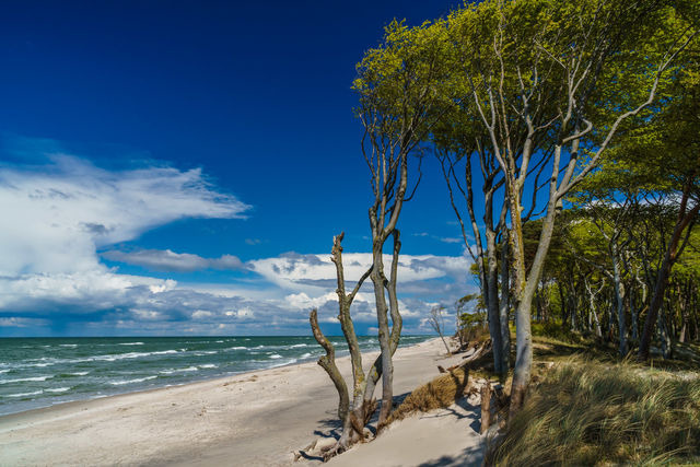 Ferienwohnung in Zingst - Whg. 17 - De Mügg - Bild 13