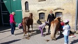 Ferienwohnung in Fehmarn OT Staberdorf - Speicher 1, inkl. 1 Parkplatz - Bild 14