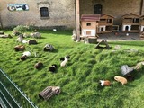 Ferienwohnung in Fehmarn OT Staberdorf - Speicher 1, inkl. 1 Parkplatz - Bild 22